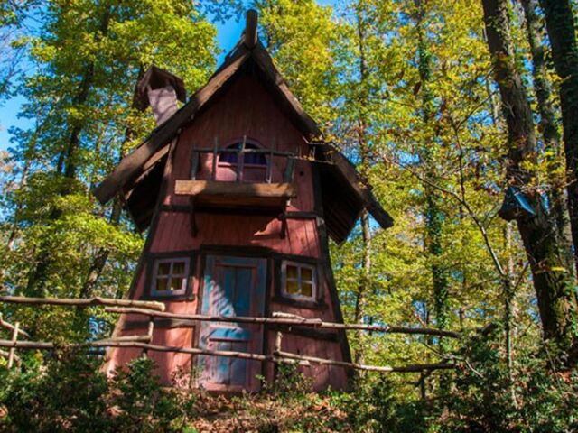 Günübirlik Hobbit Evleri Ormanya Tabiat Parkı Maşukiye Sapanca Turu 